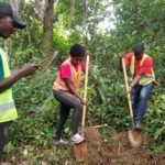 Agricultural Innovation: Crop Suitability Assessment in Nimba County, Liberia